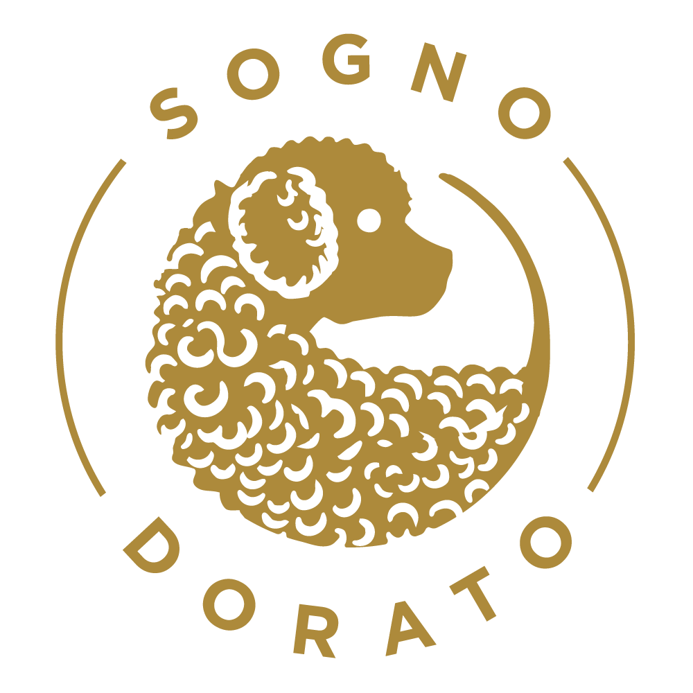 Sogno Dorato