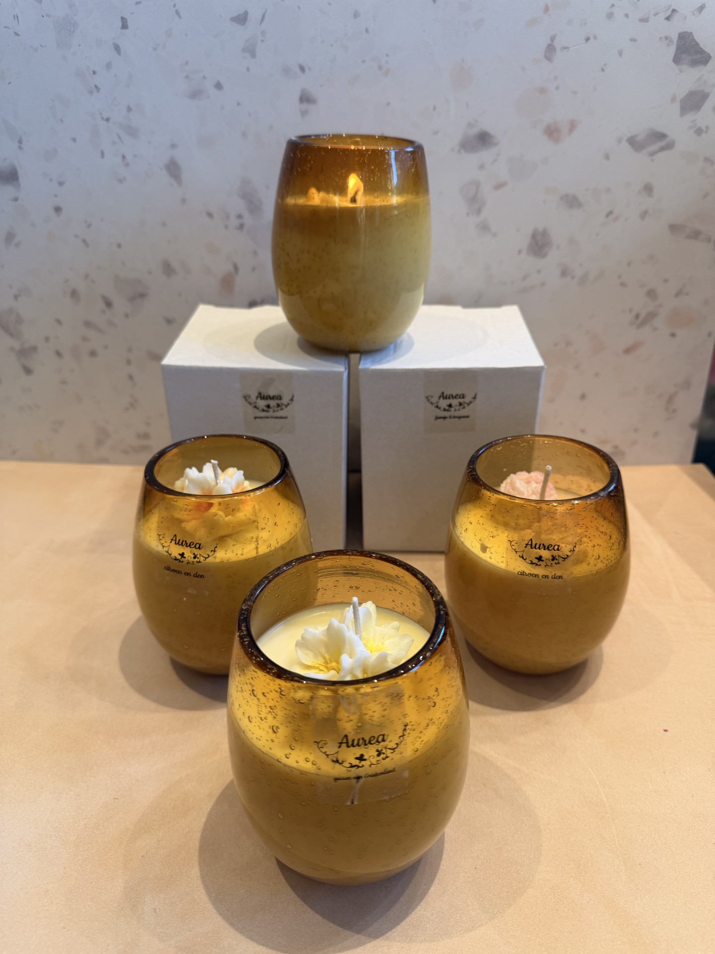 2019fce4-e579-4574-a3d1-6b52772f73b6