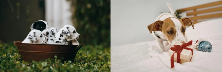 Schermafbeelding 2026-03-11 131329