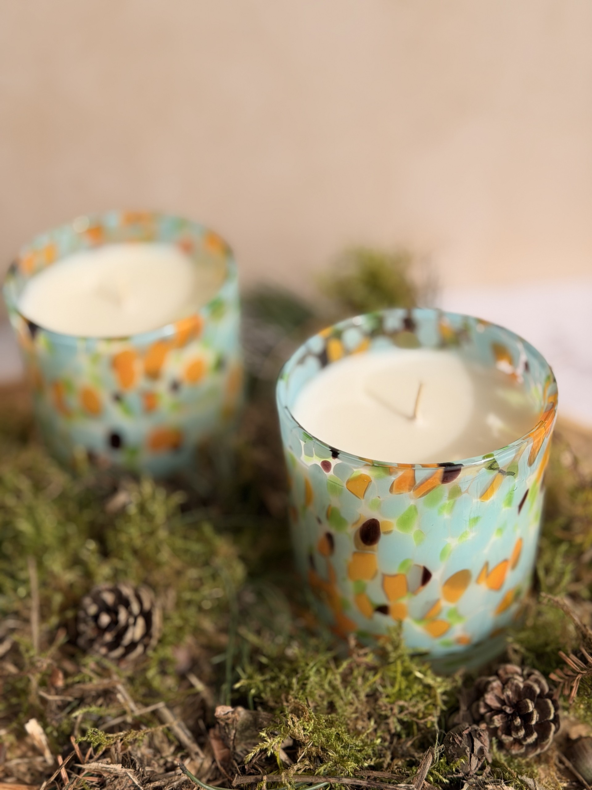 ef8b32ab-a932-4aa7-8a23-04f4358a24da