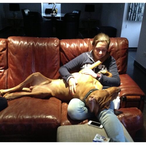 1c9b3e62-0a53-40a3-a82d-b95b3d280b9d