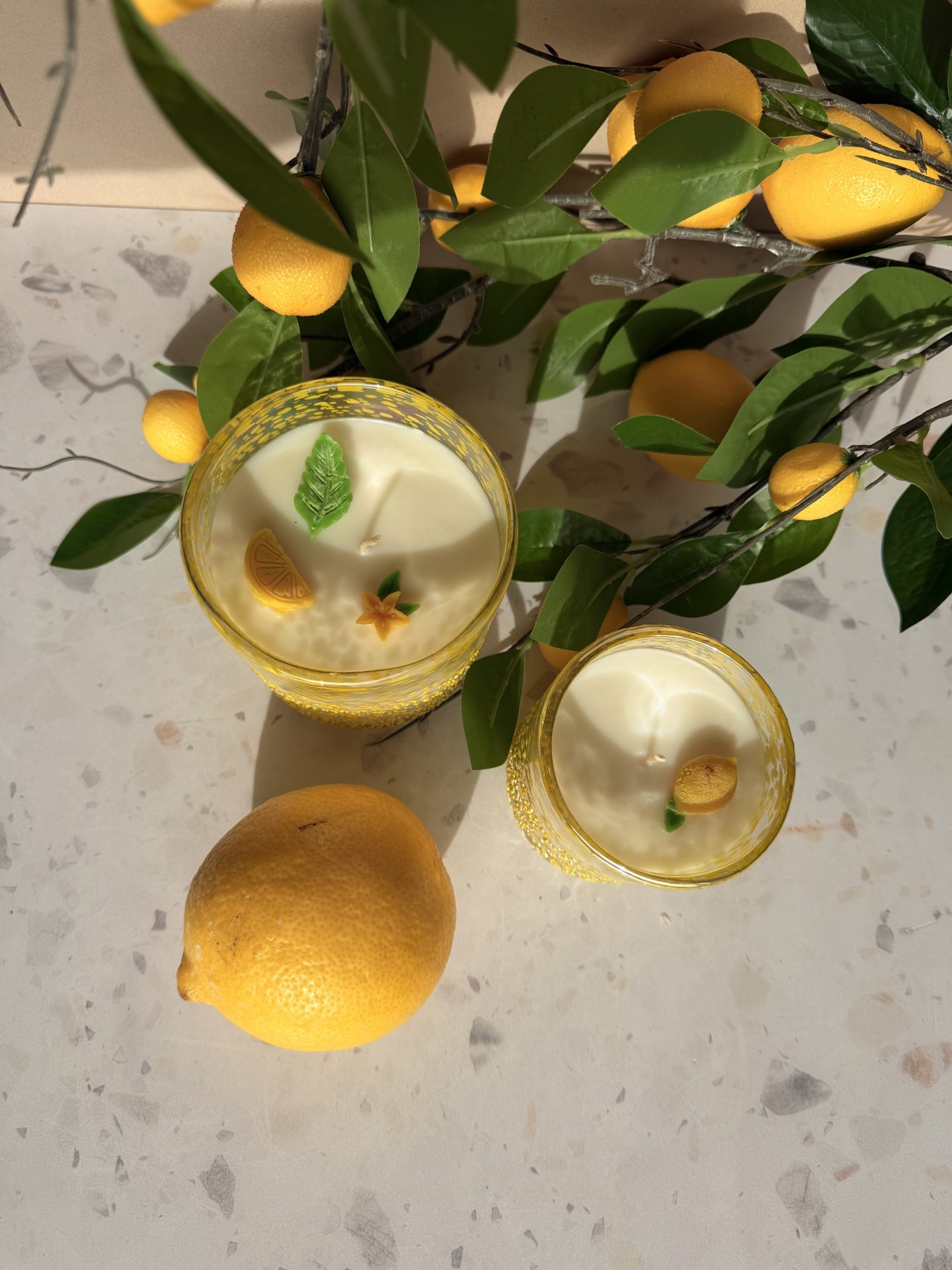 6fce387c-dec1-45f7-9f36-6061b25e2369