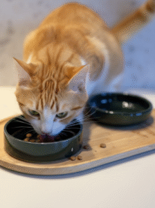 Schermafbeelding 2026-04-15 100855