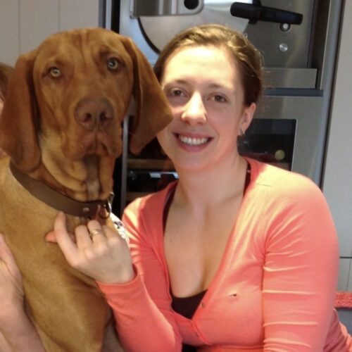 a40b3844-b2b6-4eef-88ed-fa367ae0a629