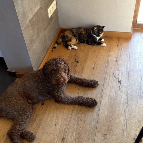 aa4506f3-9d2b-4722-85ed-e8f1571de07f