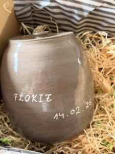 b19a6e82-01d5-44dc-b213-5c9fb70c0602