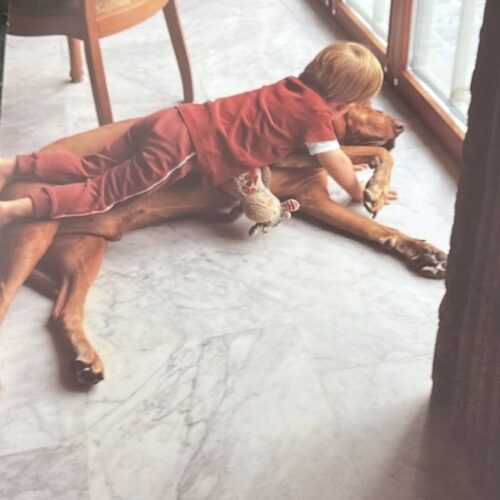 d0a50588-b2e7-440d-889e-8c708b18fcc3