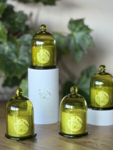 e0171213-9f19-40da-a7b9-a5afd90775e6